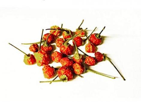 Charapita Chili ganz (sehr scharf) 