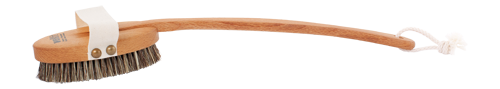 Wellfit Badebürste 